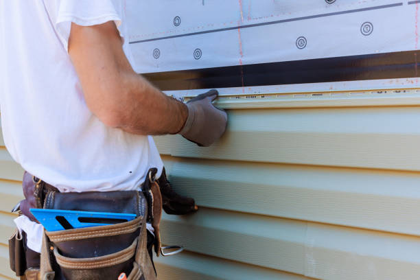 Affordable Vinyl Siding solutions in Aurora, IL